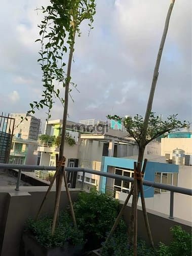 Hình ảnh [P Bàn Cờ] Bán Nhà MTKD 5 Tầng Gần Chợ Vườn Chuối Quận 3 – Nhỉnh 11 tỷ