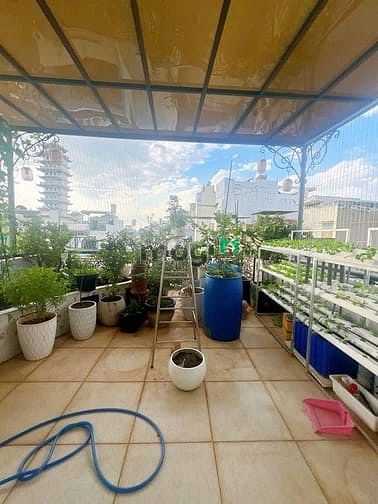 Hình ảnh Hẻm 6m Lê Thúc Hoạch, 78m2, 5.3×15, 4 Tầng BTCT 5PN, Chỉ 9.7 tỷ TL