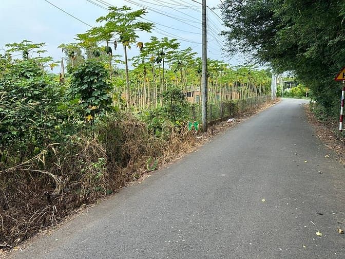 Hình ảnh đất mặt tiền đường nhựa bề ngang 30 mét có thổ cư khu dân cư ổn định