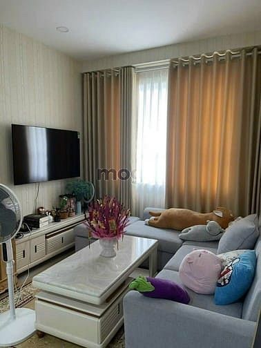 Hình ảnh C/c Topaz Garden, Trịnh Đình Thảo, TP, 70m2, 2PN, 2WC, NTCB, 9tr/th.