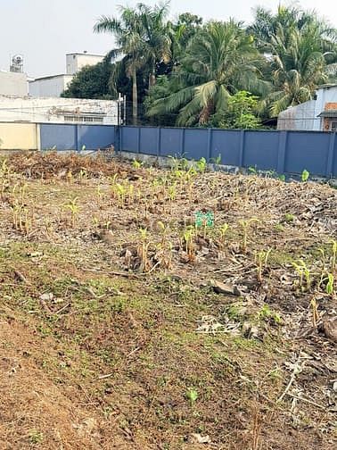 Hình ảnh Bán đất mặt tiền Đường số 17, Phường Bình Trưng Đông, Quận 2