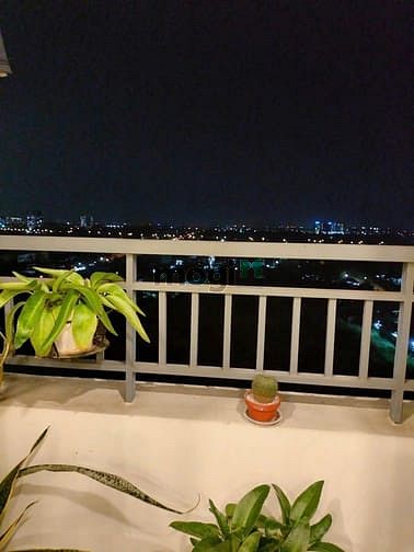 Hình ảnh C/c Ruby Garden, 1PN, 50m2, 2 Tolet, Nội thất đủ, Nguyễn Sỹ Sách, TB.