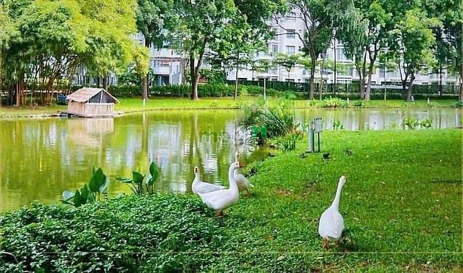 Hình ảnh Cho thuê Trang Chủ MB66.COM / Đăng Ký Tặng 66K 1pn 1wc emerald celadon nhà đẹp – giá tốt