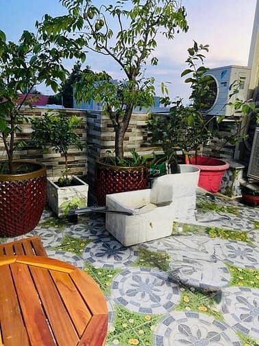 Hình ảnh Cho Thuê Nhà Hẻm Bình Tiên-Q6 giá 10tr5