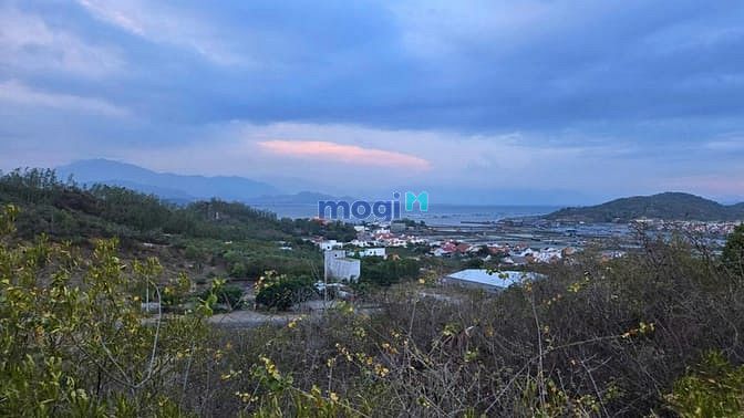 Hình ảnh Bán Lô đất ở view Biển Ninh Hải, gần cầu Bình Tây