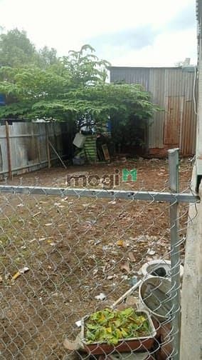 Hình ảnh Bán đất vườn Đa Phước, 400 triệu