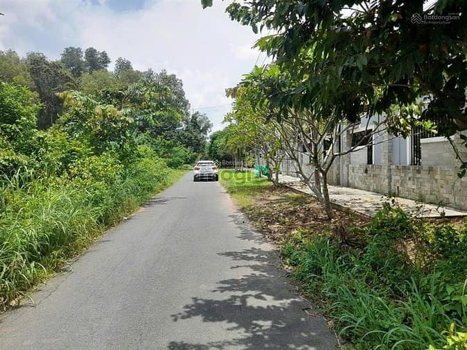 Hình ảnh Đất Tăng Thị Hội xã An Nhơn Tây huyện Củ Chi, tiềm năng tăng giá mạnh