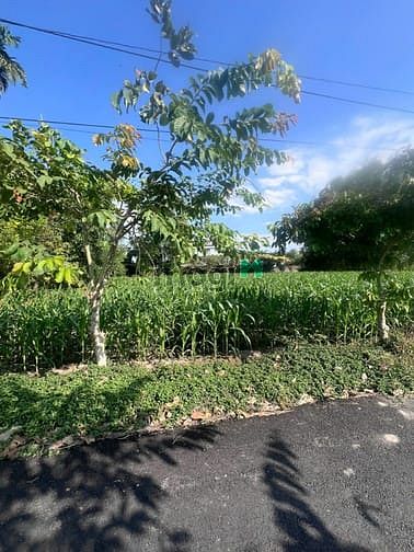 Hình ảnh Đất bán ngay ngã tư Tỉnh Lộ 7 vs Tỉnh Lộ 2, Trung Lập Thượng, Củ Chi.