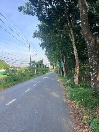 Hình ảnh Bán đất 347m2 giá cực tốt tại đường Bùi Thị Điệt, Nhuận Đức, Củ Chi,