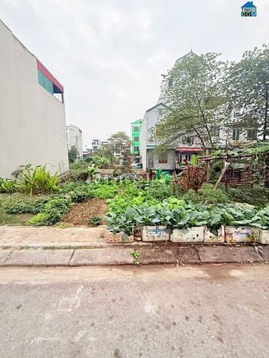 Hình ảnh Bán đất, HOÀ LẠC, huyện thạch thất, đối diện  ĐH FPT, ĐHQG, SÁT METRO.