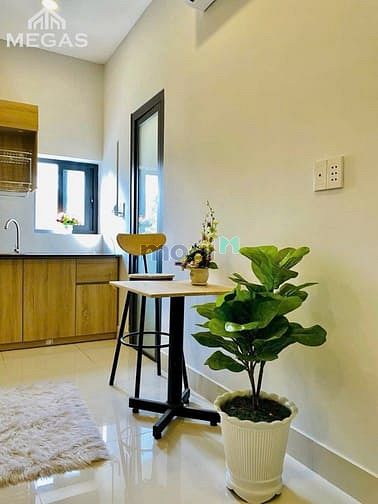 Hình ảnh Cho Thuê Căn Hộ Mini [Cho nuôi pet] - gần Vạn Hạnh Mall - Quận 10