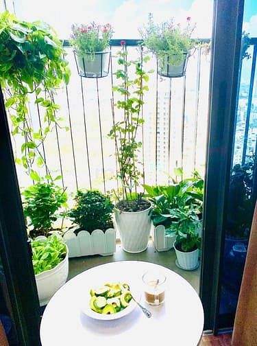 Hình ảnh Bán Và Cho thuê CH ECO GREEN 80m2 giá thị trường, vị trí đẹp,cao cấp
