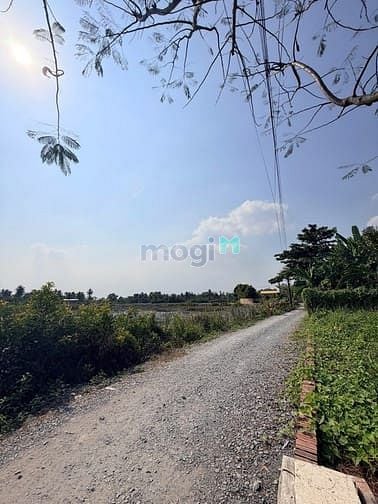 Hình ảnh Chính chủ gửi bán lô đất vườn hẻm ô tô đường Trường Khánh, Long Phước