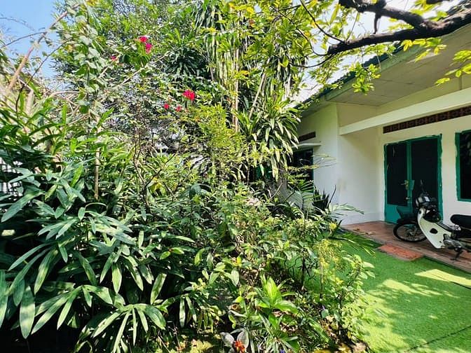 Hình ảnh Biệt thự Phúc Hải 240m2 ngang 12m giá siêu ngộp 8,5 tỷ sổ sẵn Trang MB66.COM Chính Thức - MB 66 Uy Tín