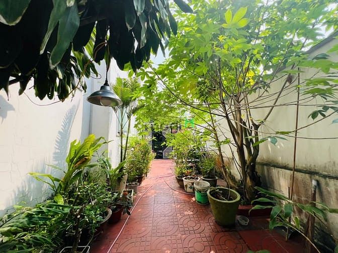 Hình ảnh Biệt thự Phúc Hải 240m2 ngang 12m giá siêu ngộp 8,5 tỷ sổ sẵn Trang MB66.COM Chính Thức - MB 66 Uy Tín