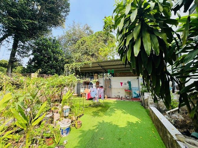Hình ảnh Biệt thự Phúc Hải 240m2 ngang 12m giá siêu ngộp 8,5 tỷ sổ sẵn Trang MB66.COM Chính Thức - MB 66 Uy Tín