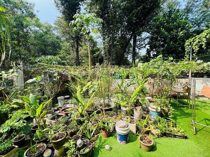 Hình ảnh Biệt thự Phúc Hải 240m2 ngang 12m giá siêu ngộp 8,5 tỷ sổ sẵn Trang MB66.COM Chính Thức - MB 66 Uy Tín