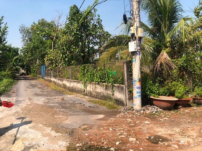 Hình ảnh Cho thuê đất trống 500m2 đường TL56 Quận 12