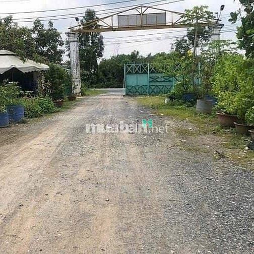 Hình ảnh Cho Thuê Kho Xưởng 843m² Tại Củ Chi – Giá 41tr/tháng