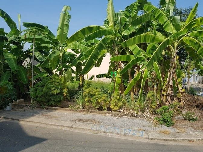 Hình ảnh Bán Đất Lô Góc Đẹp 93m2, Ngày Cầu Ông Nhiêu Long Trường Q9. Giá 4.X Tỷ