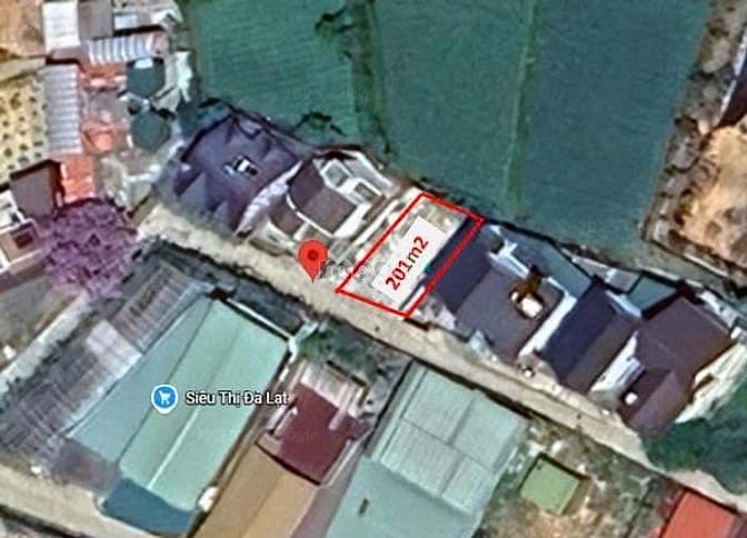 Hình ảnh Bán đất biệt thự đường Mai Anh Đào, ngay thung lũng Tình yêu Đà Lạt