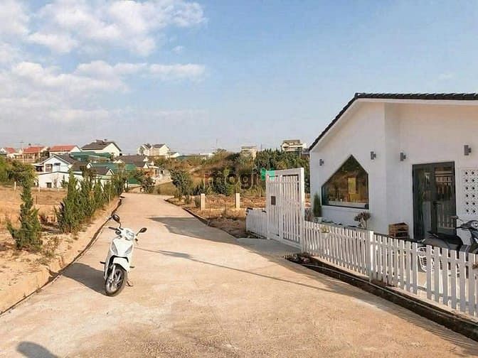 Hình ảnh Bán đất biệt thự View đẹp ngay thị trấn Lạc Dương thành phố Đà Lạt