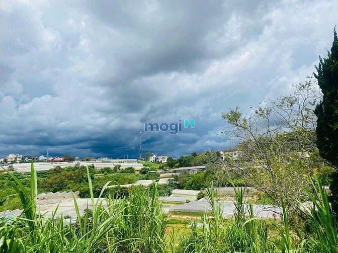 Hình ảnh Bán đất biệt thự View đẹp đường ô tô Hùng Vương Đà Lạt, giá hơn 5 tỷ