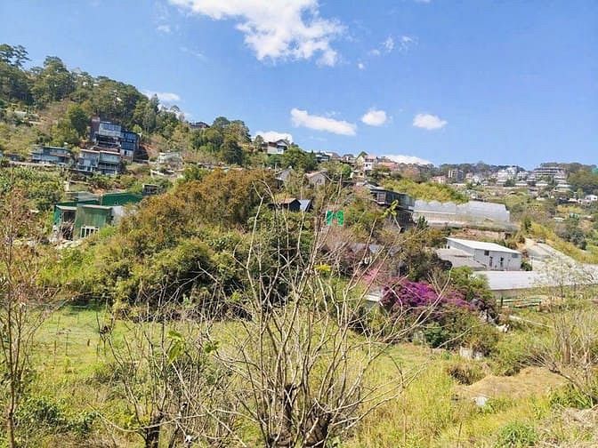 Hình ảnh Bán đất View rừng thông đường ôtô Hoàng Hoa Thám Đà Lạt, DT 513m2 N17m