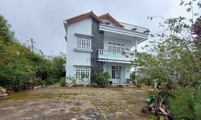 Hình ảnh Bán đất siêu đẹp 964m2 Mặt tiền đường Đống Đa Đà Lạt, quỹ đất lớn hiếm