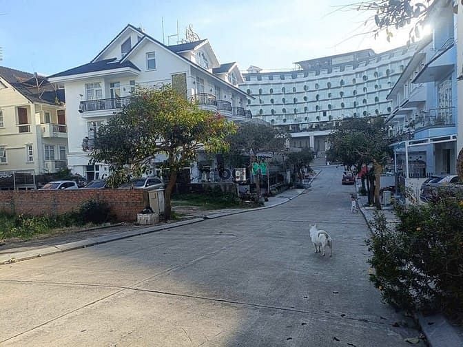 Hình ảnh Bán 2 lô đất Mặt tiền KQH Nguyễn Thị Nghĩa Bùi Thị Xuân Đà Lạt.