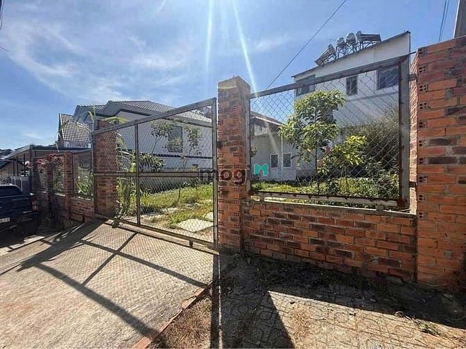 Hình ảnh Bán đất biệt thự mặt tiền đường Đa Phú LANGBIANG ĐÀ LẠT 250m2 giá tốt