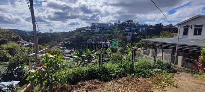 Hình ảnh Bán đất 219m2 view đồi thông, góc 2 mặt tiền Hoàng Hoa Thám Đà Lạt
