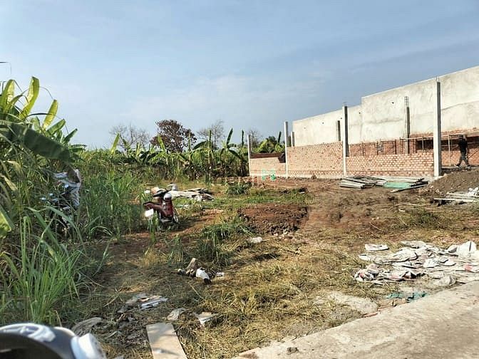 Hình ảnh bán đất 1 sẹc sông trầu 19 giá 795 triệu 149,7m, 113m thổ cư