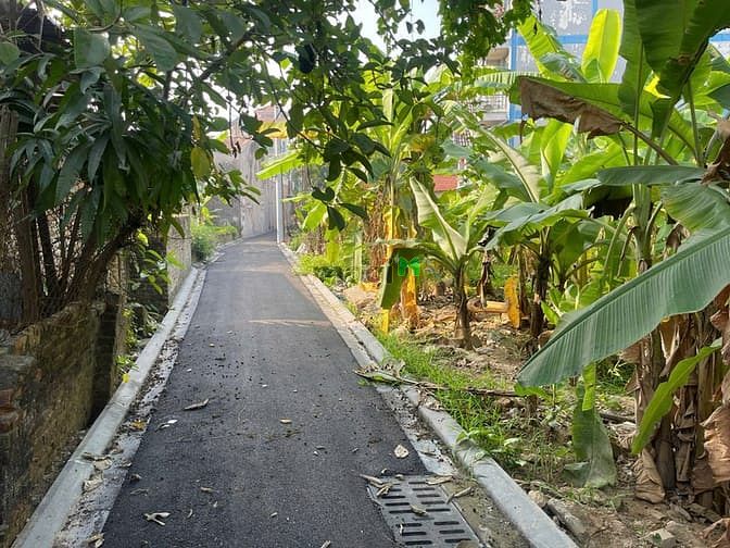 Hình ảnh Bán Đất Vân Nội ngõ Ô tô vào trong đất