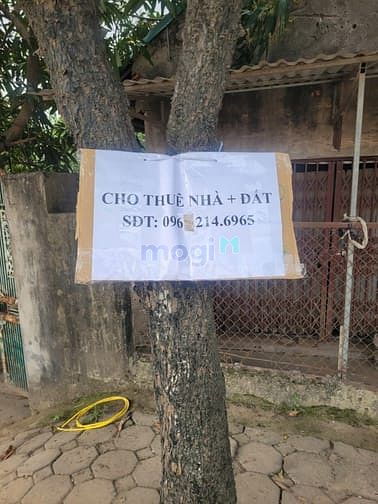 Hình ảnh Cho thuê nhà đất mặt đường Phú Minh, Bắc Từ Liêm,Hà Nội
