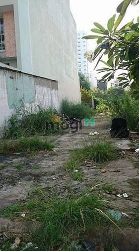 Hình ảnh Đất full thổ cư thích hợp xây nhà khu Ao Sen đường 7A,5x20m,12.2 tỷ