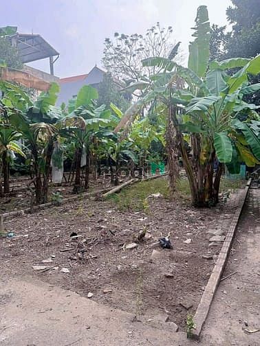 Hình ảnh Chính chủ cần bán gấp đất đẹp Đan Phượng