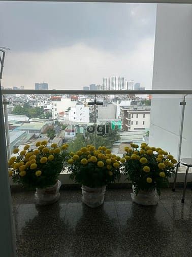 Hình ảnh chung cư hoàng anh thanh bình khu himlam Q.7 dt 92m2 có 2PN full NT