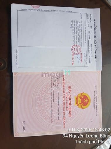 Hình ảnh Bán đất đồi thông Phan Đình Phùng, Pleiku Gia Lai