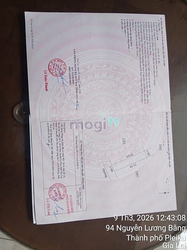 Hình ảnh Bán đất đồi thông Phan Đình Phùng, Pleiku Gia Lai