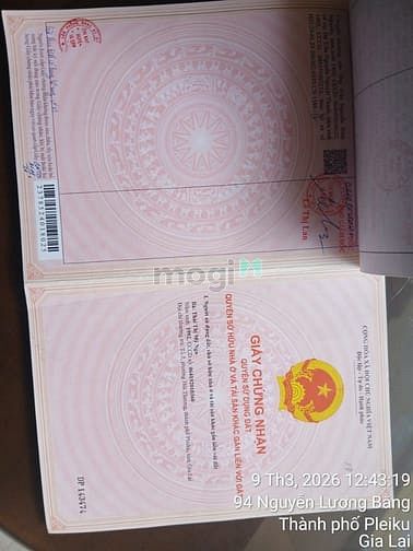 Hình ảnh Bán đất đồi thông Phan Đình Phùng, Pleiku Gia Lai