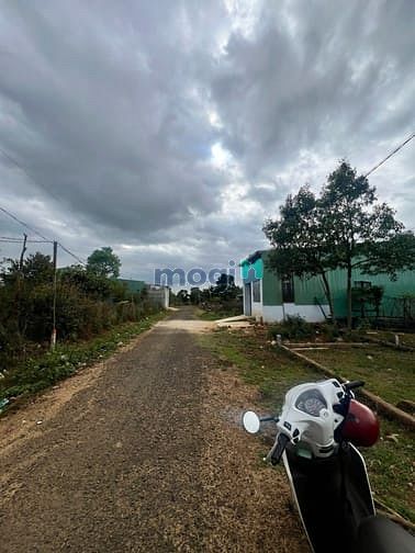 Hình ảnh Bán đất đồi thông Phan Đình Phùng, Pleiku Gia Lai