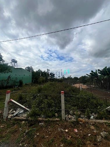 Hình ảnh Bán đất đồi thông Phan Đình Phùng, Pleiku Gia Lai