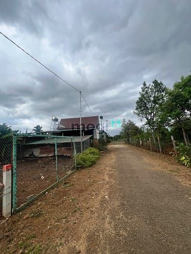 Hình ảnh Đất đồi thông hẻm sân bóng xã ia der huyện iagrai