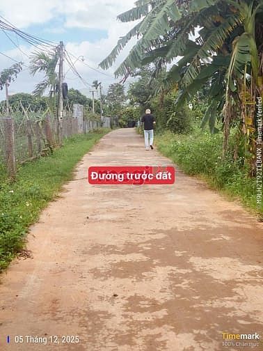 Hình ảnh Bán Đất  View Hồ Đội 56 Eaning – CưKuin – Đaklak Giá 179 triệu