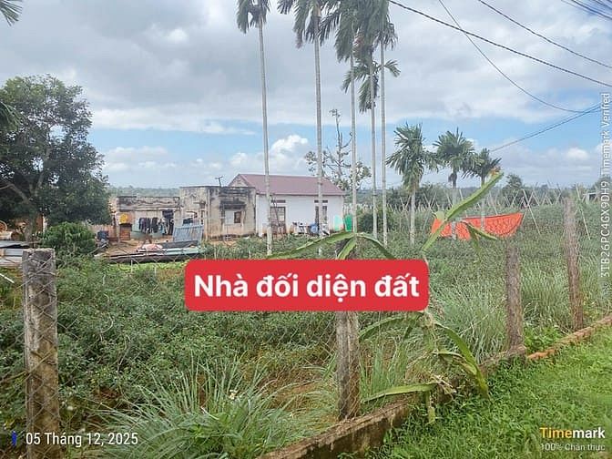 Hình ảnh Bán Đất  View Hồ Đội 56 Eaning – CưKuin – Đaklak Giá 179 triệu