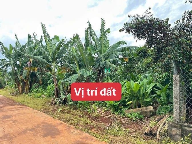 Hình ảnh Bán Đất  View Hồ Đội 56 Eaning – CưKuin – Đaklak Giá 179 triệu