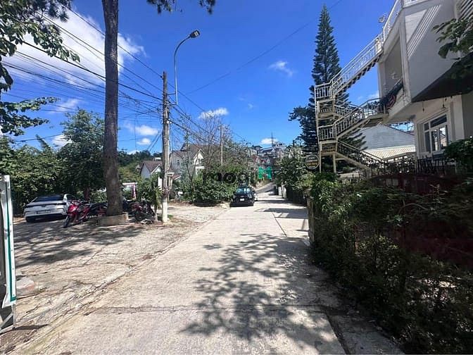 Hình ảnh Bán đất View rừng thông rất đẹp đường ô tô Hoàng Hoa Thám Đà Lạt