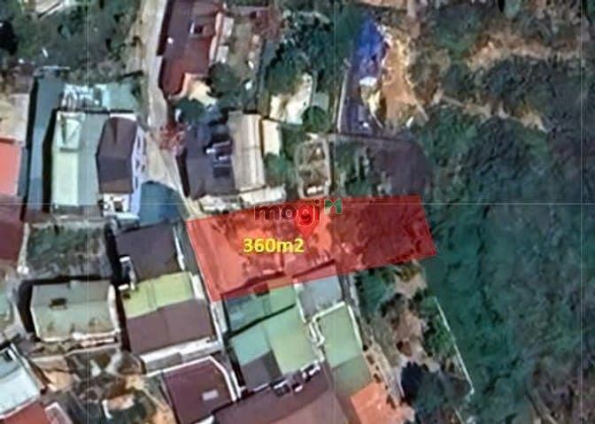 Hình ảnh Bán đất View rừng thông rất đẹp đường ô tô Hoàng Hoa Thám Đà Lạt