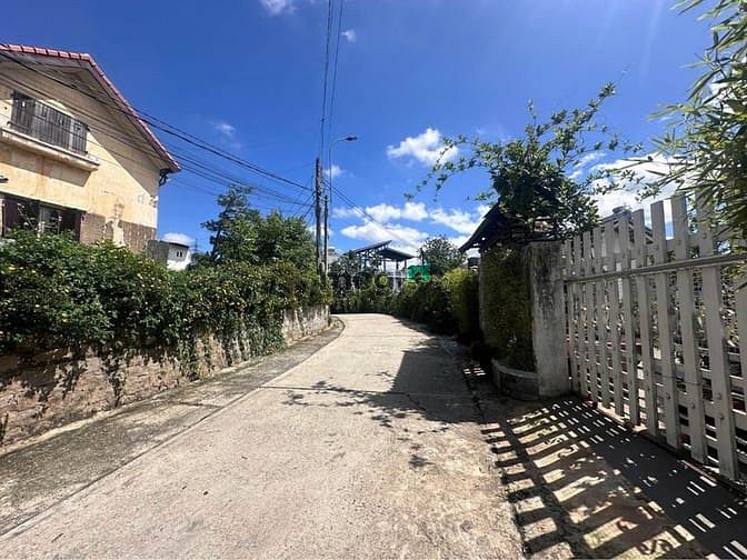 Hình ảnh Bán đất View rừng thông rất đẹp đường ô tô Hoàng Hoa Thám Đà Lạt